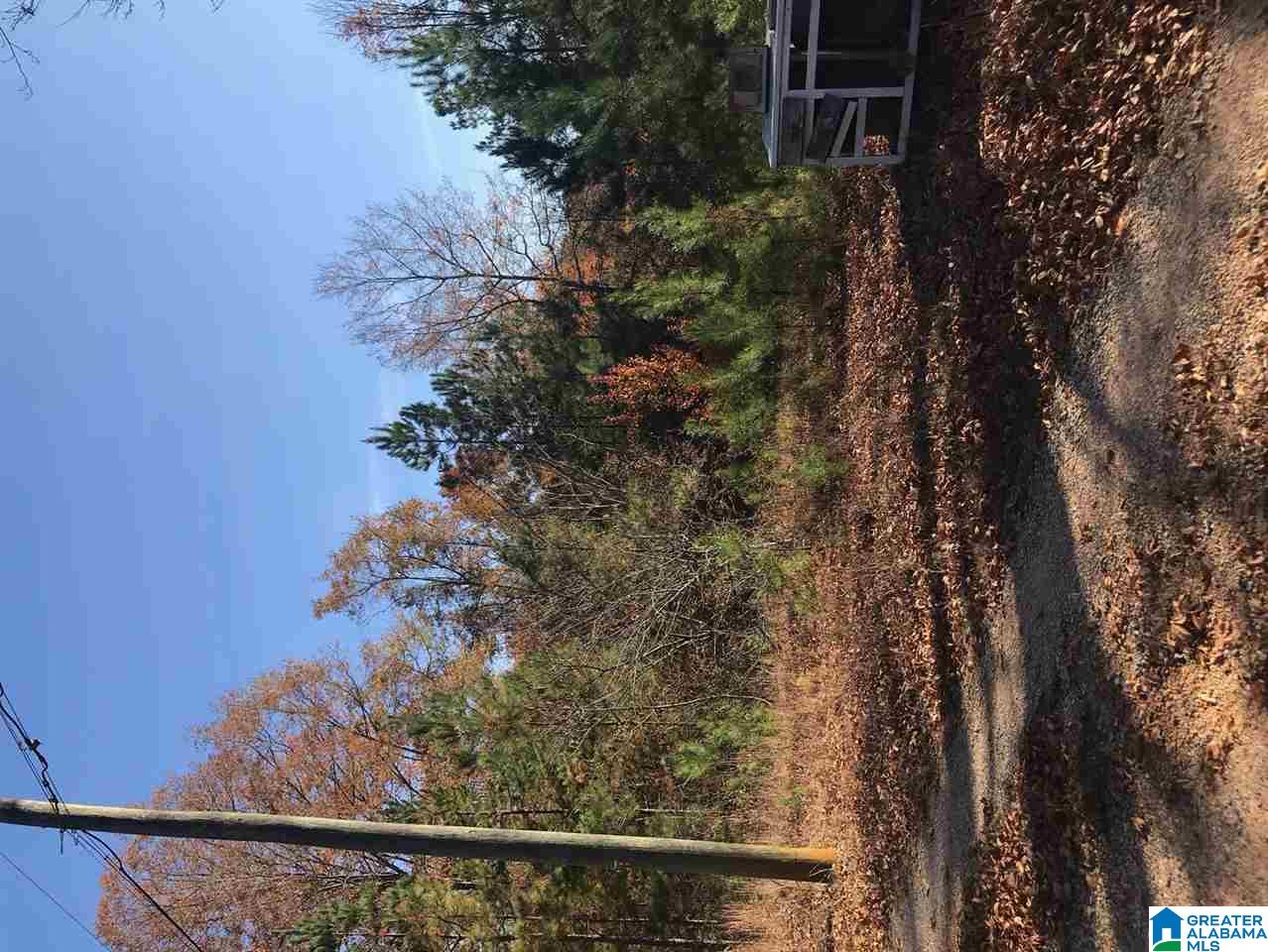373 Mountain View Road Talladega, AL 35160 - Photo 4 of 4