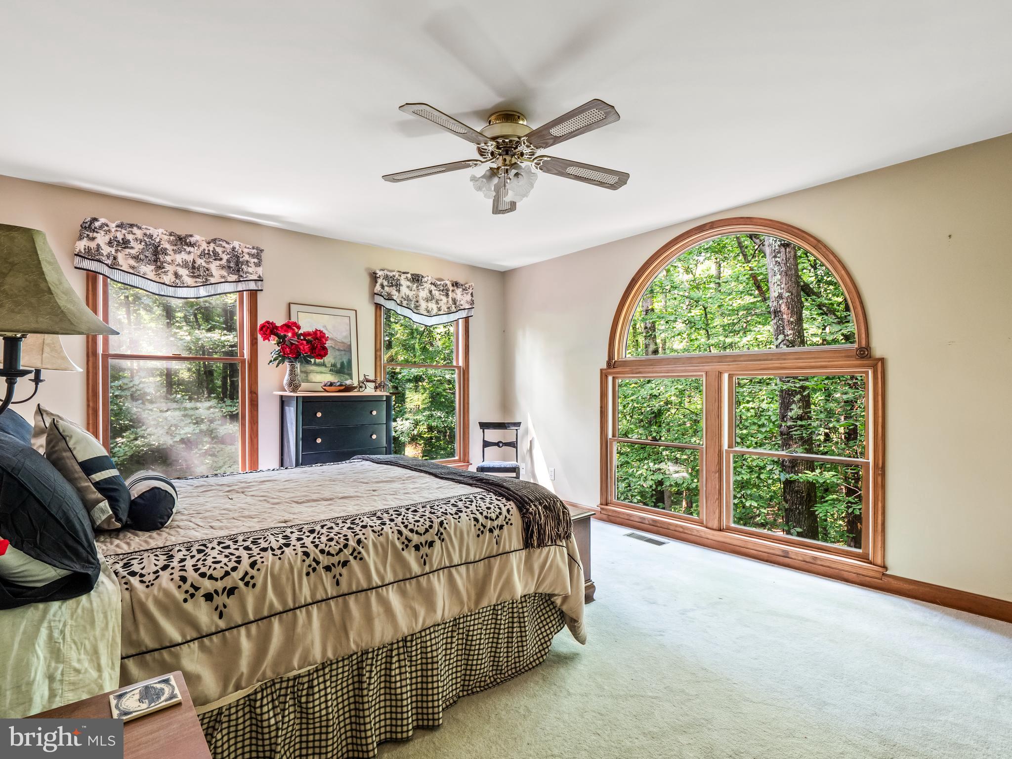 85 Clift Farm Road Fredericksburg, VA 22405 - Photo 4 of 36 Gallery Image 4