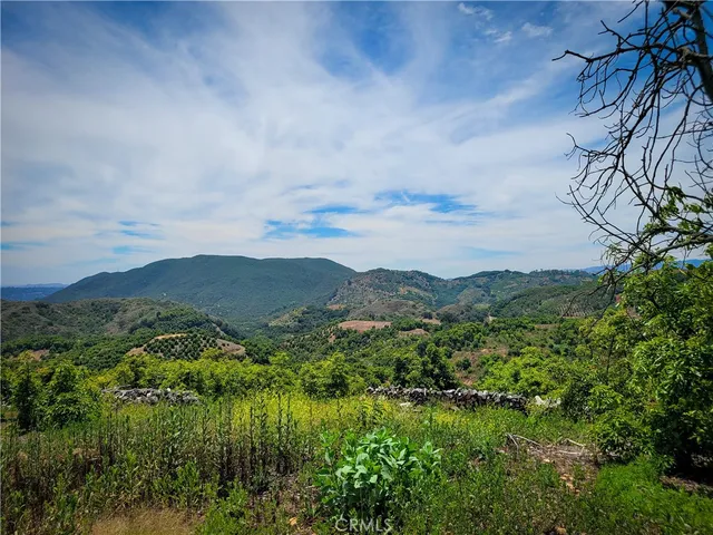 a view of a green field with lots of bushes