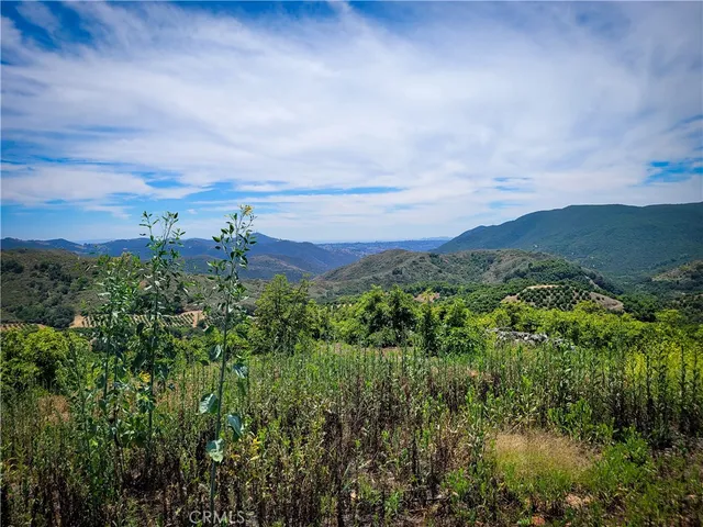 a view of a city with lush green forest