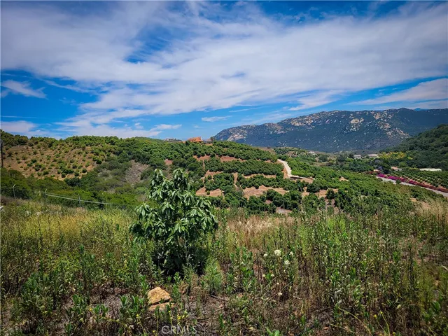 a plant that is in a garden