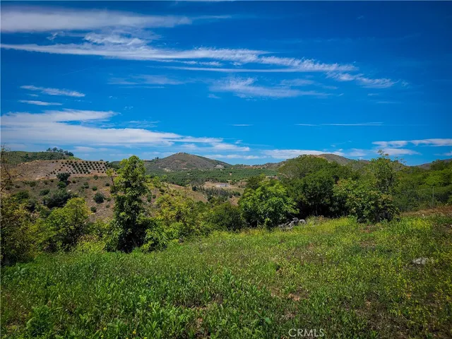 a view of a garden with plants and a bench