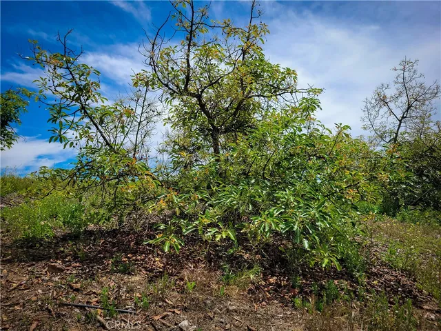 a view of a large yard with lots of green space