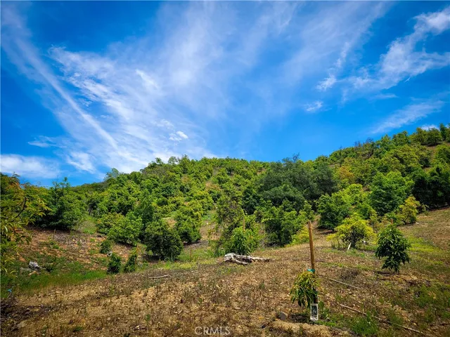 a view of backyard with green space