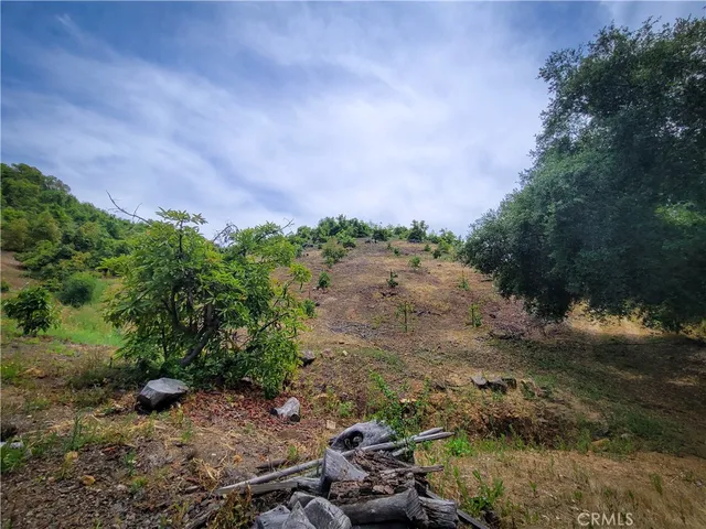 a view of a large yard with lots of green space