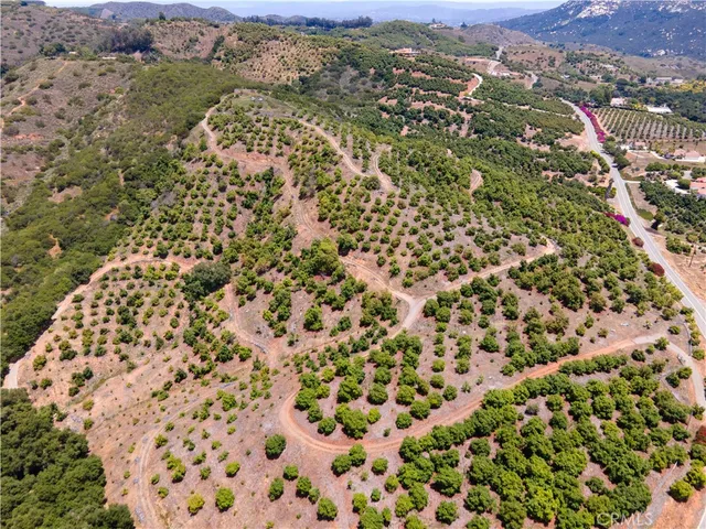a bathroom with a shower curtain