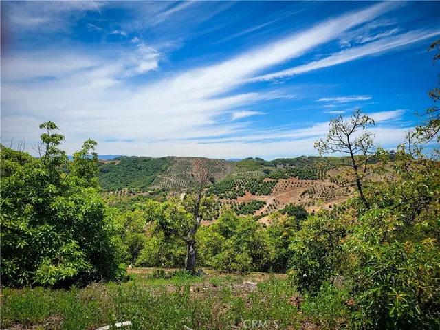 a view of a yard with an outdoor space