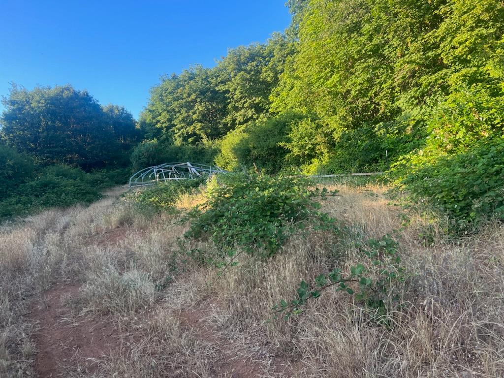 15244 Fountain House Road Dobbins, CA 95935 - Photo 16 of 23 a view of a yard with a tree