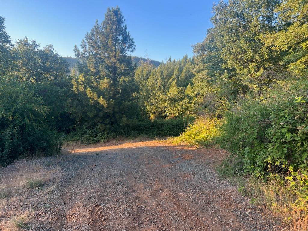 15244 Fountain House Road Dobbins, CA 95935 - Photo 6 of 23 a view of a yard with a tree