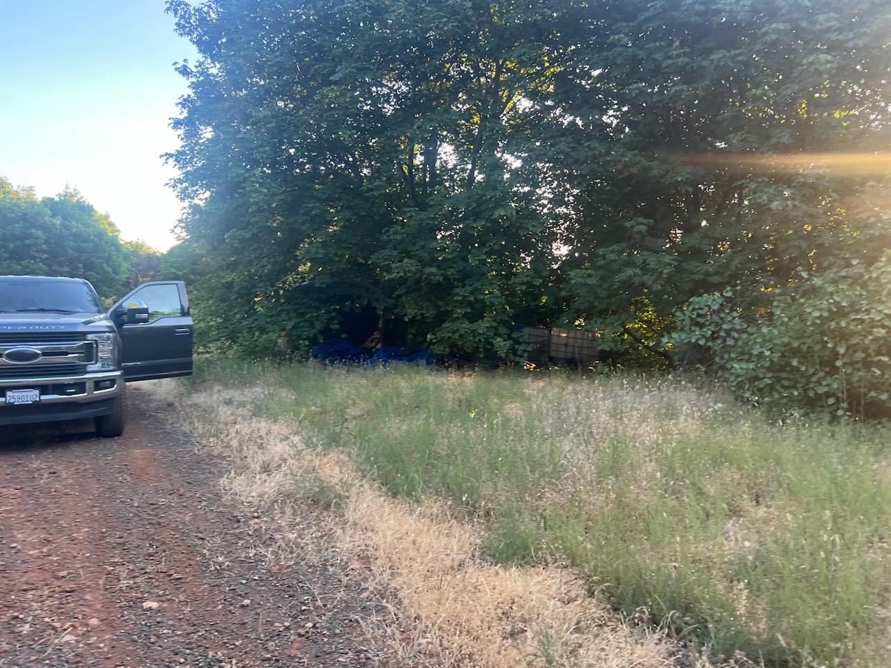 15244 Fountain House Road Dobbins, CA 95935 - Photo 8 of 23