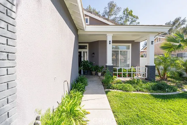 a potted plant sitting in front of a house