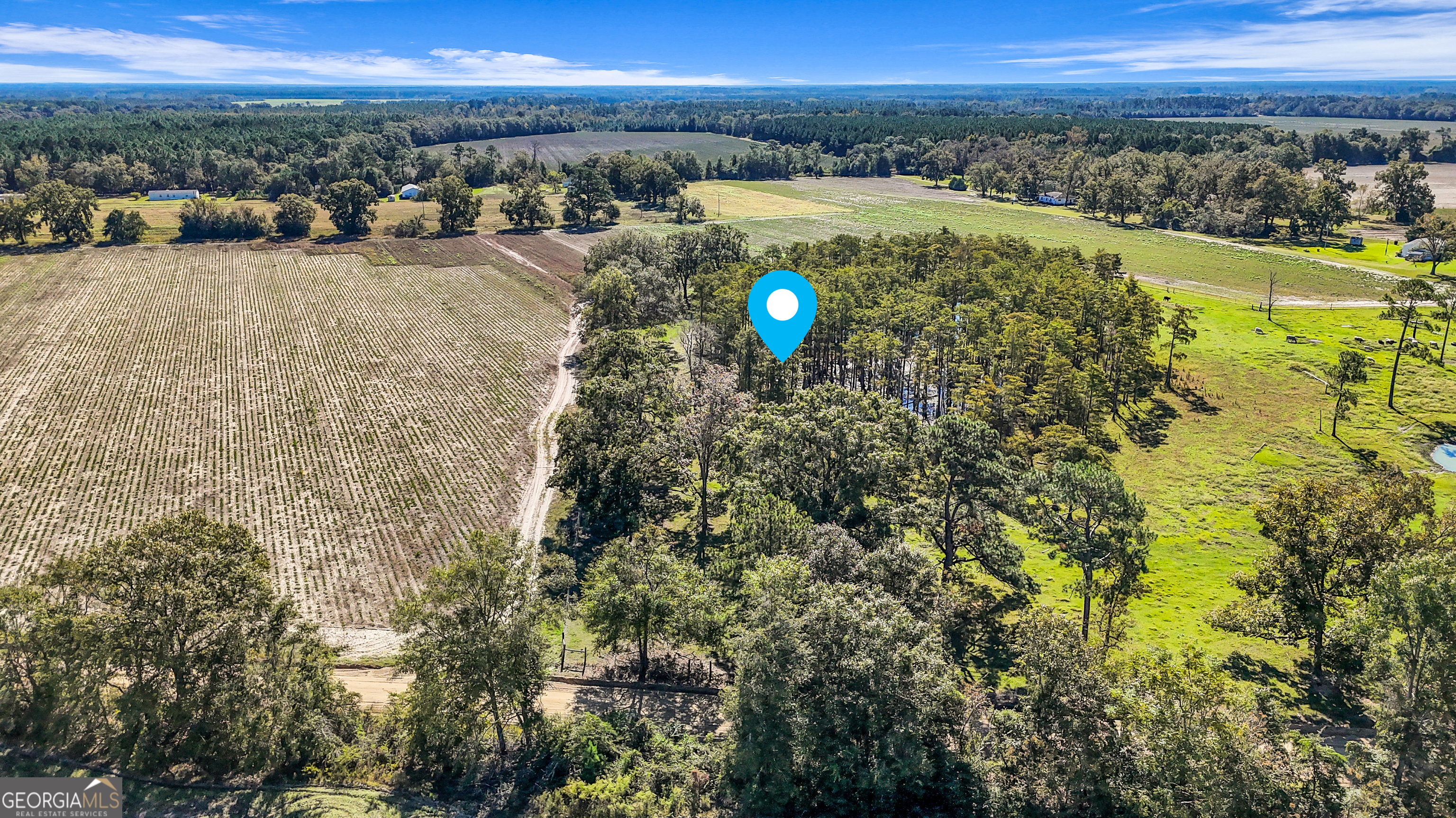 0 B J B J Clifton Road Statesboro, GA 30461 - Photo 2 of 6 a view of a city