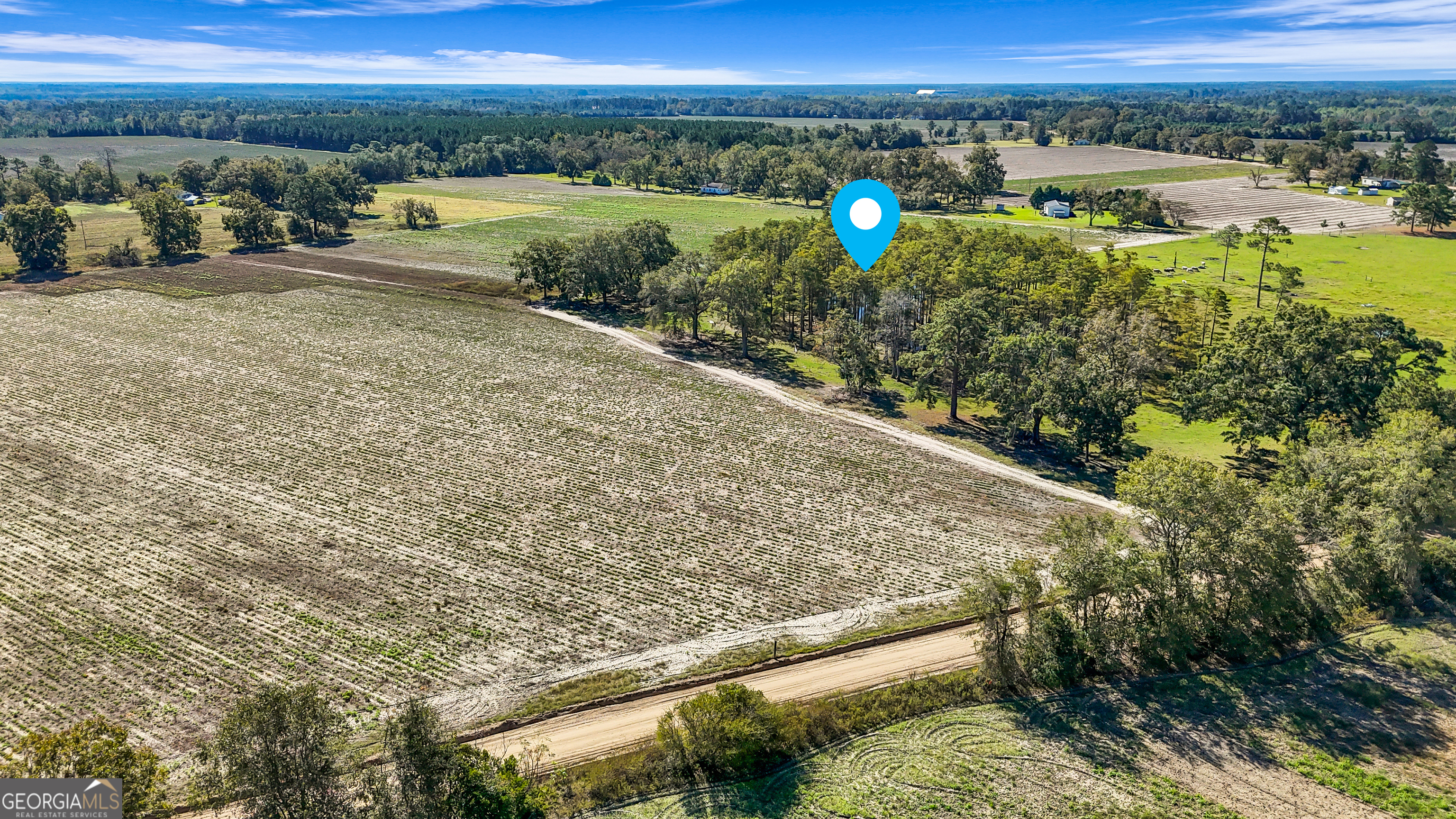 0 B J B J Clifton Road Statesboro, GA 30461 - Photo 3 of 6 a view of a field with an ocean view