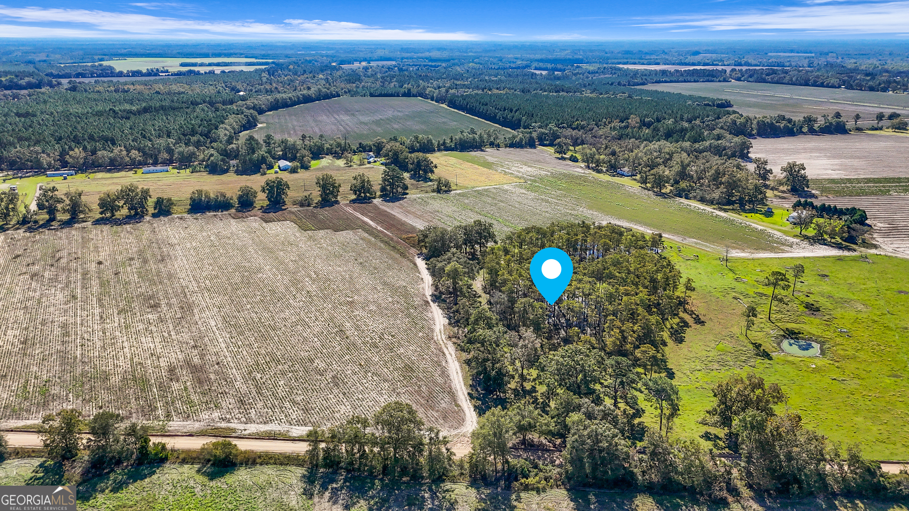 0 B J B J Clifton Road Statesboro, GA 30461 - Photo 5 of 6 a view of a city