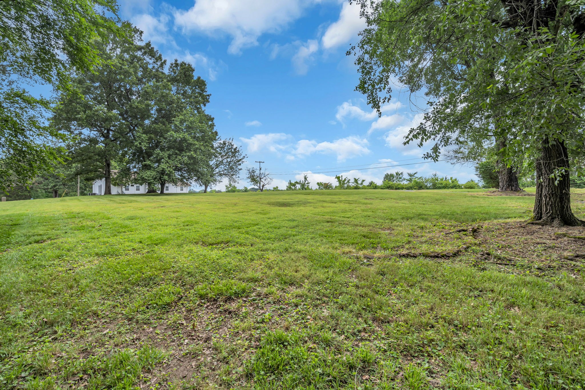 390 Southside Road Cunningham, TN 37052 - Photo 8 of 22 a view of a field with an trees