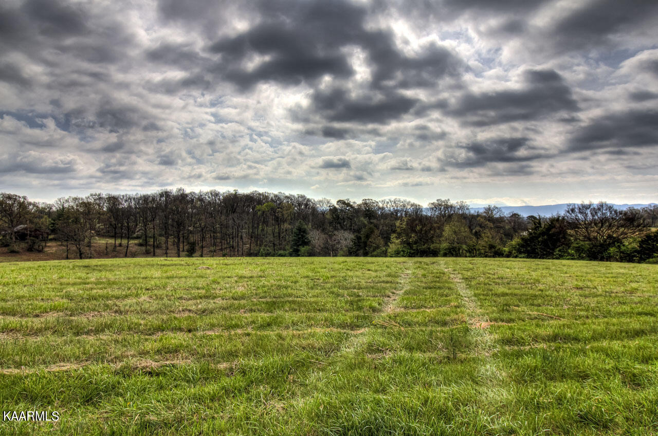 1529 Salem Loop Road Greenback, TN 37742 - Photo 54 of 55 IMG_1393LR