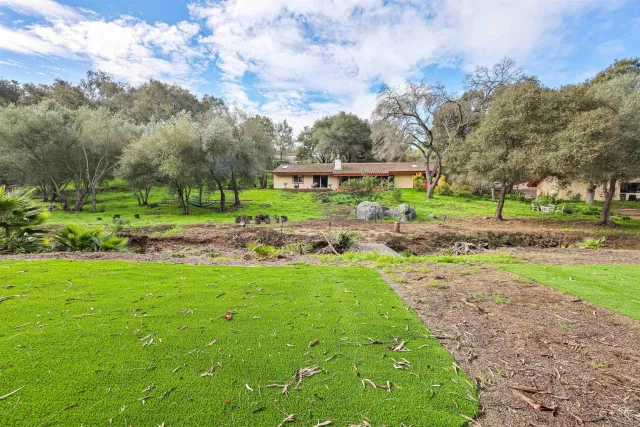 a view of backyard with green space