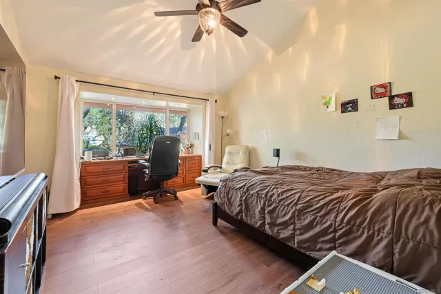 a road view with large trees