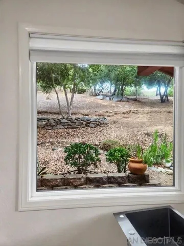 a view of a park with large trees