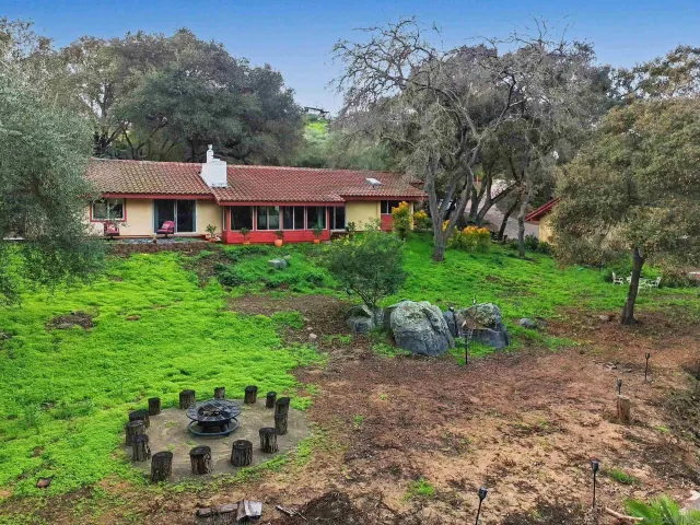 a view of a garden with large trees