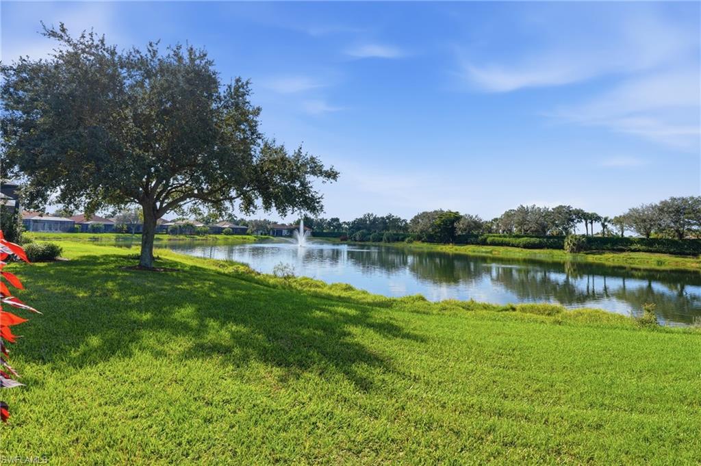 7821 Ashton Road Naples, FL 34113 - Photo 41 of 49 a view of a lake with houses in the background