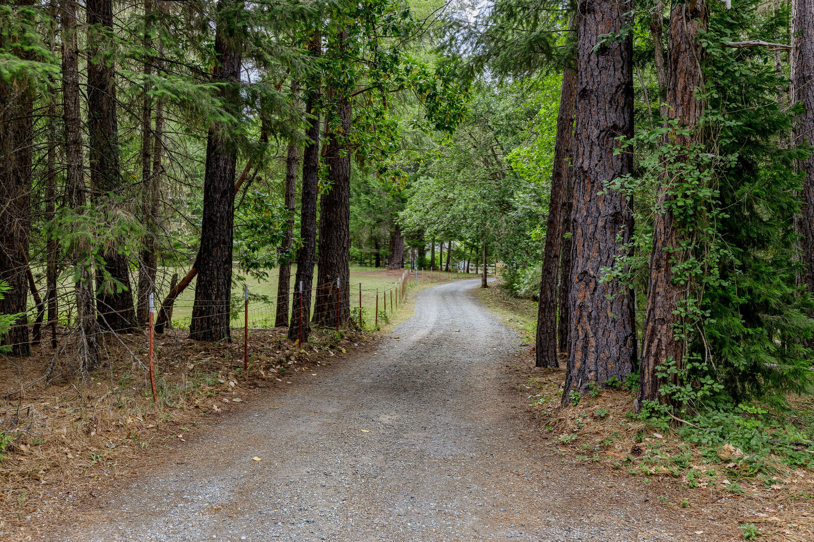2444 Cedar Flat Road Williams, OR 97544 - Photo 41 of 74 52_CFR_52_mls