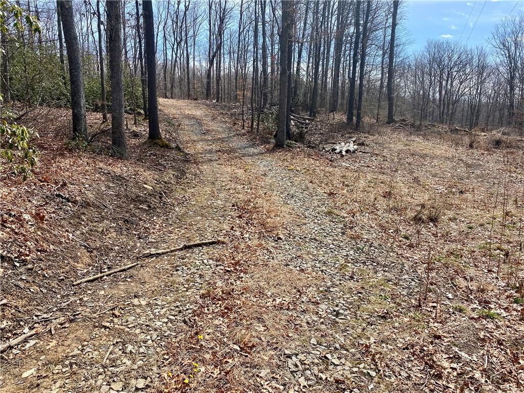 0 Conn Road Confluence, PA 15424 - Photo 1 of 25 a view of wooden fence and trees