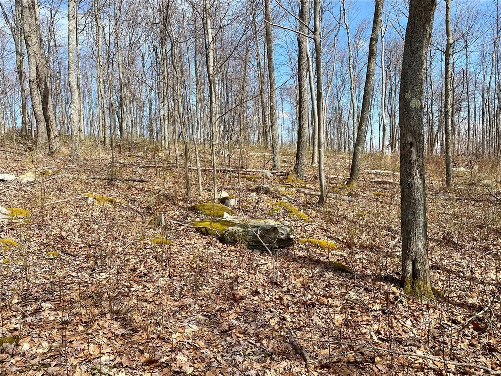 0 Conn Road Confluence, PA 15424 - Photo 17 of 25 a view of yard