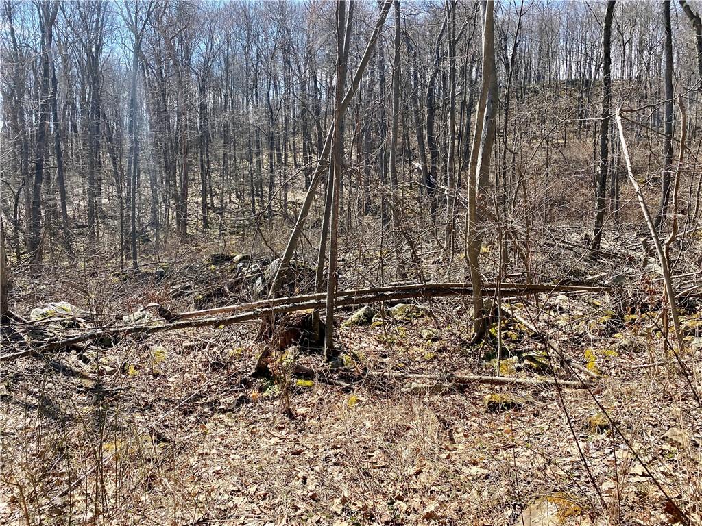 0 Conn Road Confluence, PA 15424 - Photo 2 of 25 a view of a yard