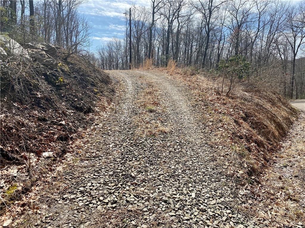 0 Conn Road Confluence, PA 15424 - Photo 25 of 25 a view of a yard with large trees