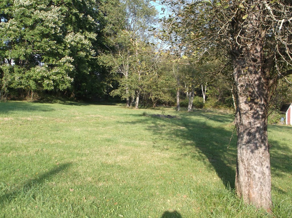 1462 Tylersburg Road Leeper, PA 16233 - Photo 26 of 35