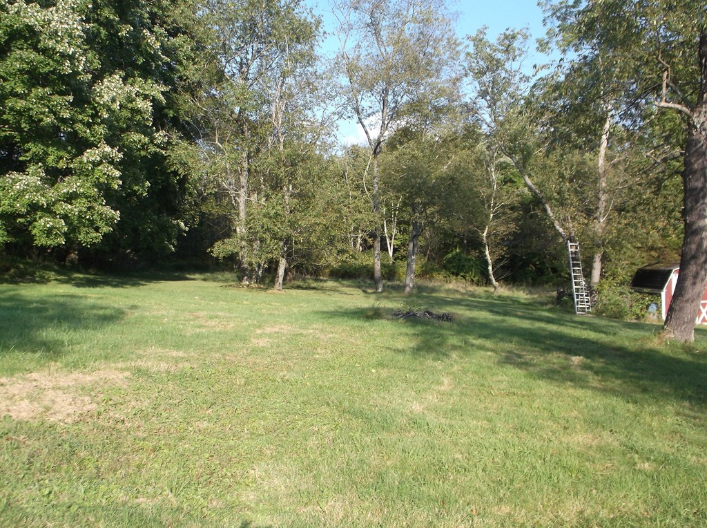 1462 Tylersburg Road Leeper, PA 16233 - Photo 27 of 35