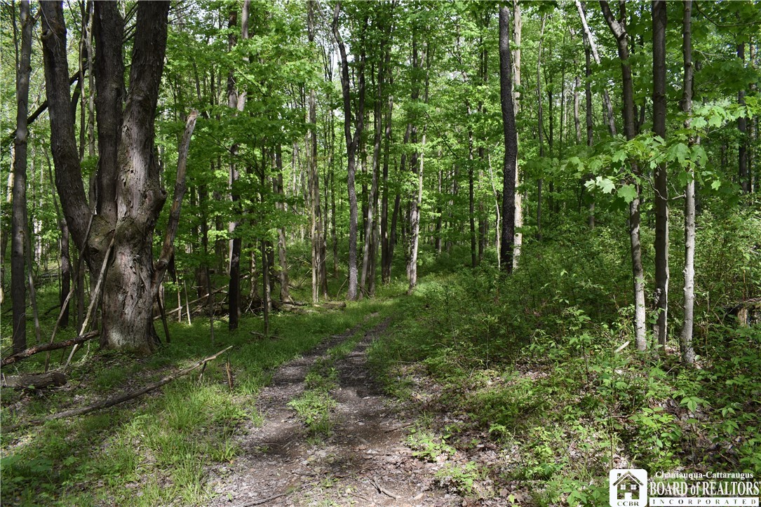 10133 Edward Corners Road Perrysburg, NY 14129 - Photo 10 of 28