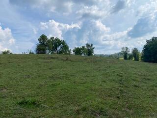 294 Hooster Run Road Wellington, KY 40387 - Photo 19 of 24 IMG_0754