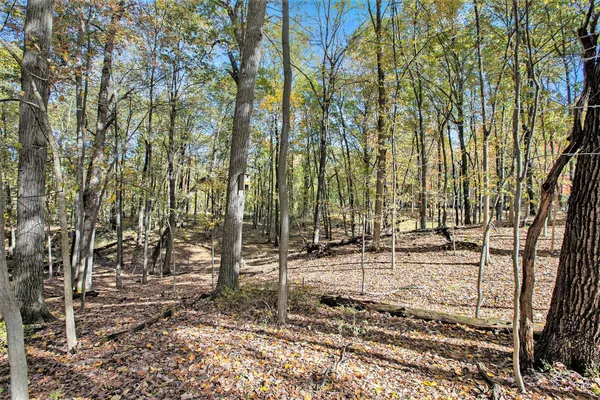 $1,025,000 | 3444 Wagner Woods Court, Ann Arbor, MI 48103