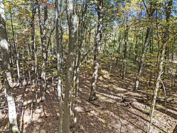 $1,025,000 | 3444 Wagner Woods Court, Ann Arbor, MI 48103