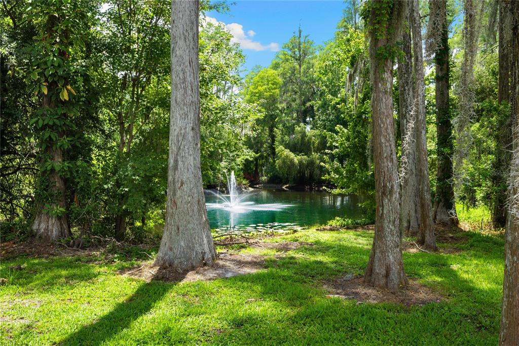 3663 Berger Road Lutz, FL 33548 - Photo 14 of 65 a view of lake background with tree