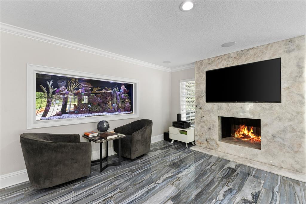 3663 Berger Road Lutz, FL 33548 - Photo 20 of 65 a living room with furniture a flat screen tv and a fireplace