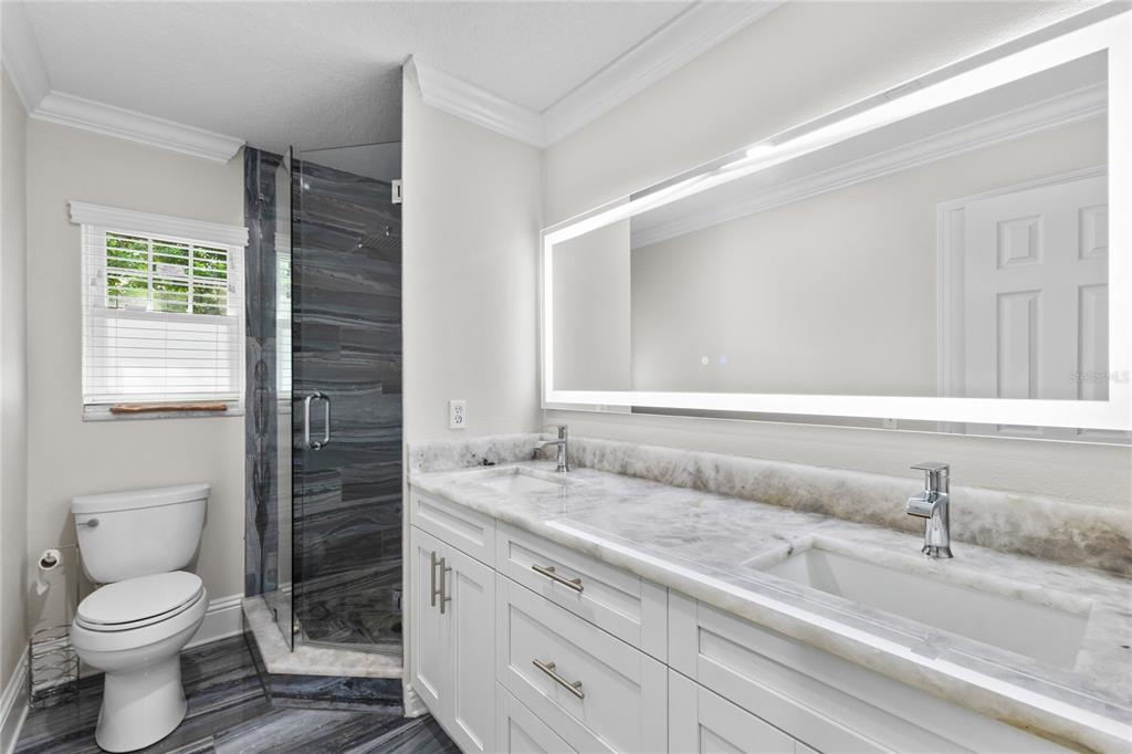 3663 Berger Road Lutz, FL 33548 - Photo 27 of 65 a bathroom with a granite countertop sink toilet and shower