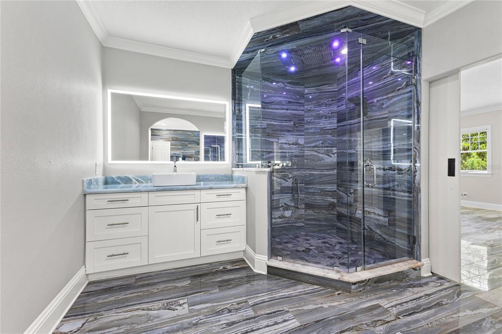 3663 Berger Road Lutz, FL 33548 - Photo 35 of 65 a bathroom with a granite countertop sink a mirror and shower