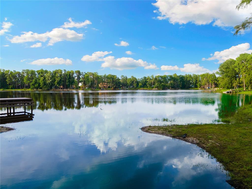 3663 Berger Road Lutz, FL 33548 - Photo 4 of 65 a view of a lake