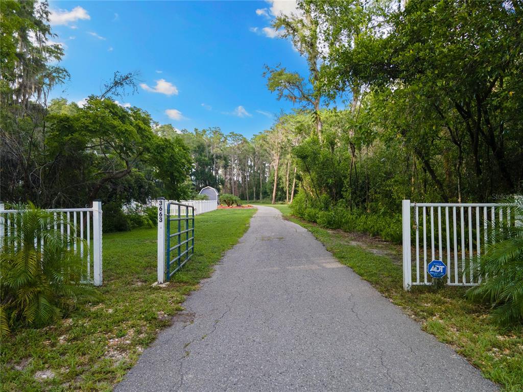 3663 Berger Road Lutz, FL 33548 - Photo 53 of 65 a view of a park with large trees