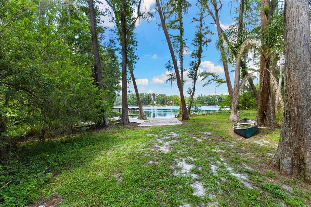 3663 Berger Road Lutz, FL 33548 - Photo 62 of 65 a view of a yard with a tree