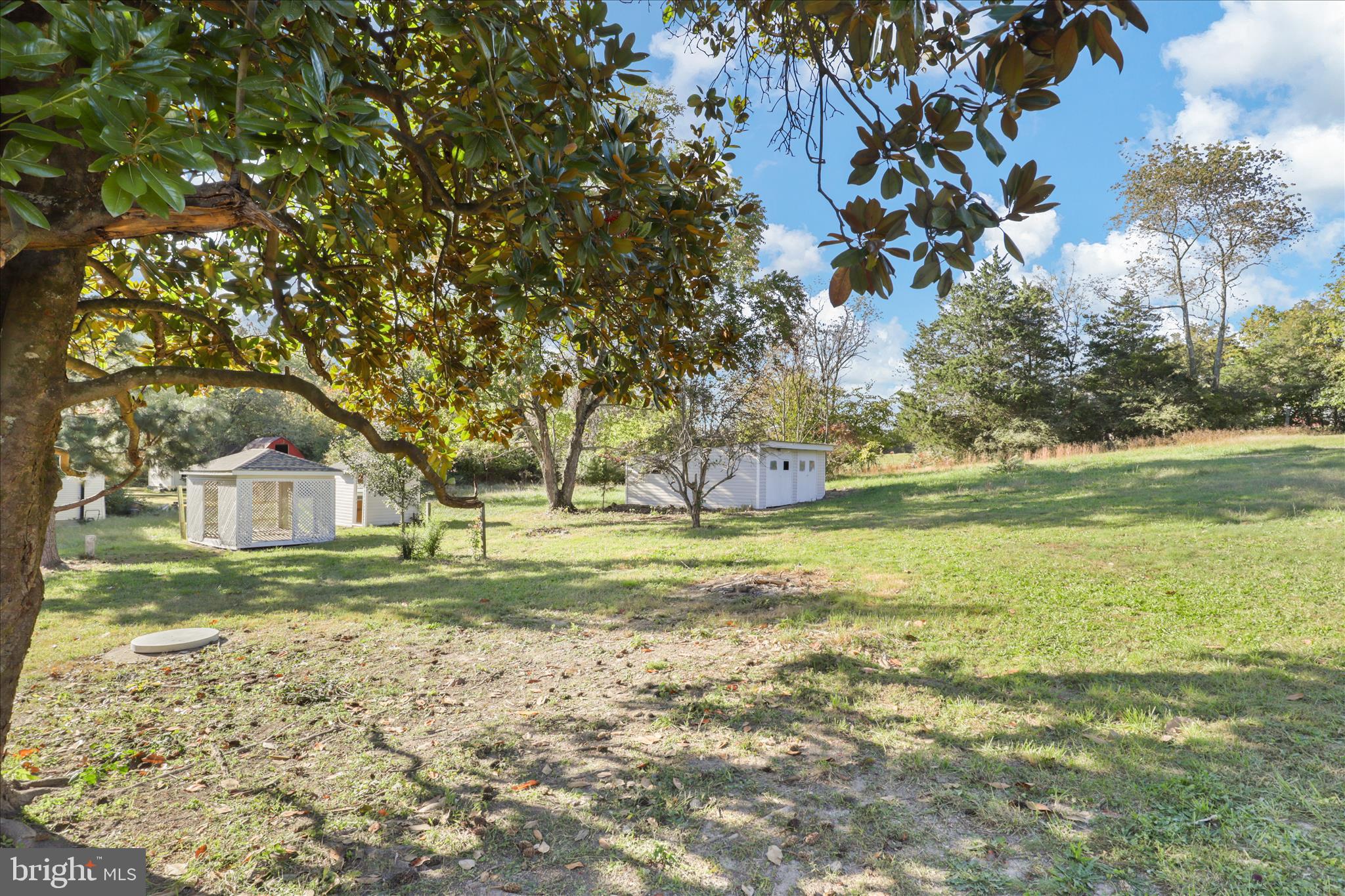 347 Forest Lane Road Fredericksburg, VA 22405 - Photo 30 of 36