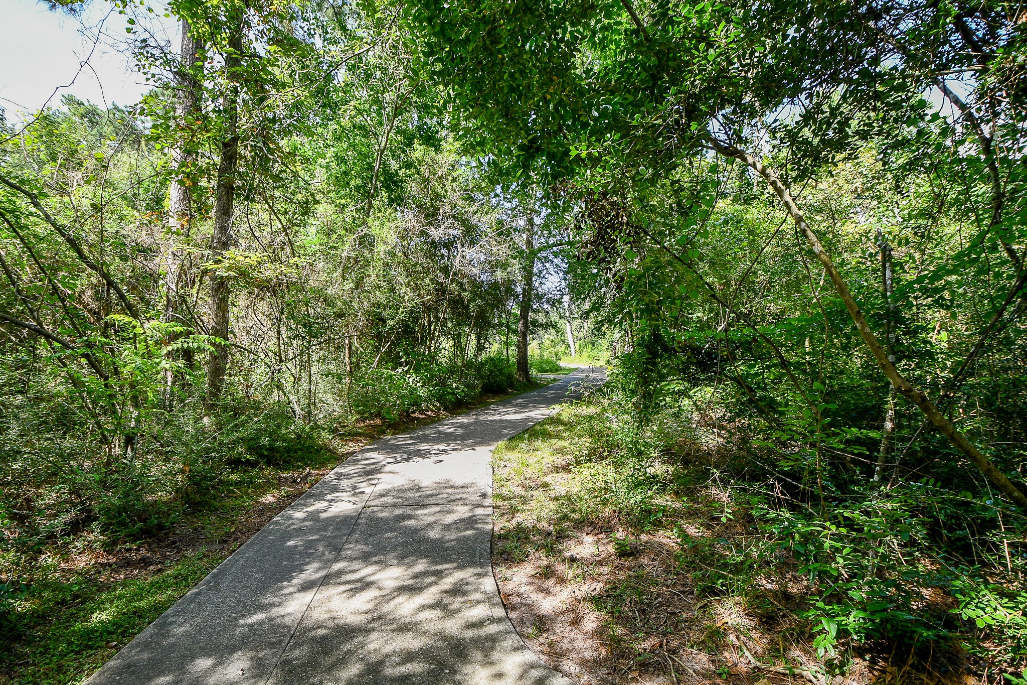 3500 Tangle Brush Drive, Unit 14 Spring, TX 77381 - Photo 30 of 33