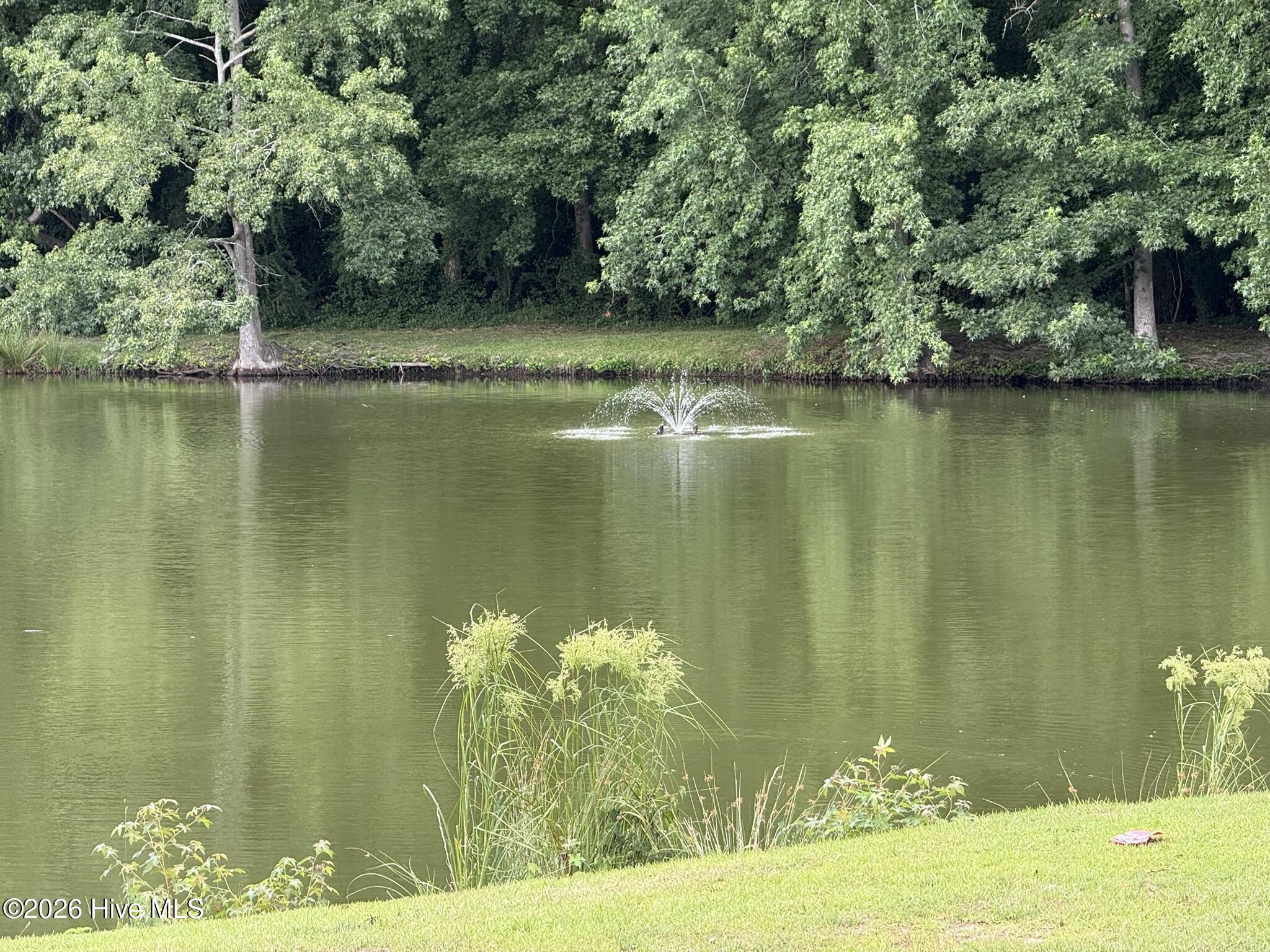 605 Spring Forest Road, Unit E Greenville, NC 27834 - Photo 8 of 13