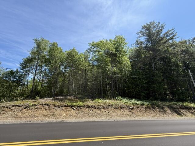 Lot 5-10 Charlotte Road Charlotte, ME 04666 - Photo 6 of 24 IMG_1699 (1)