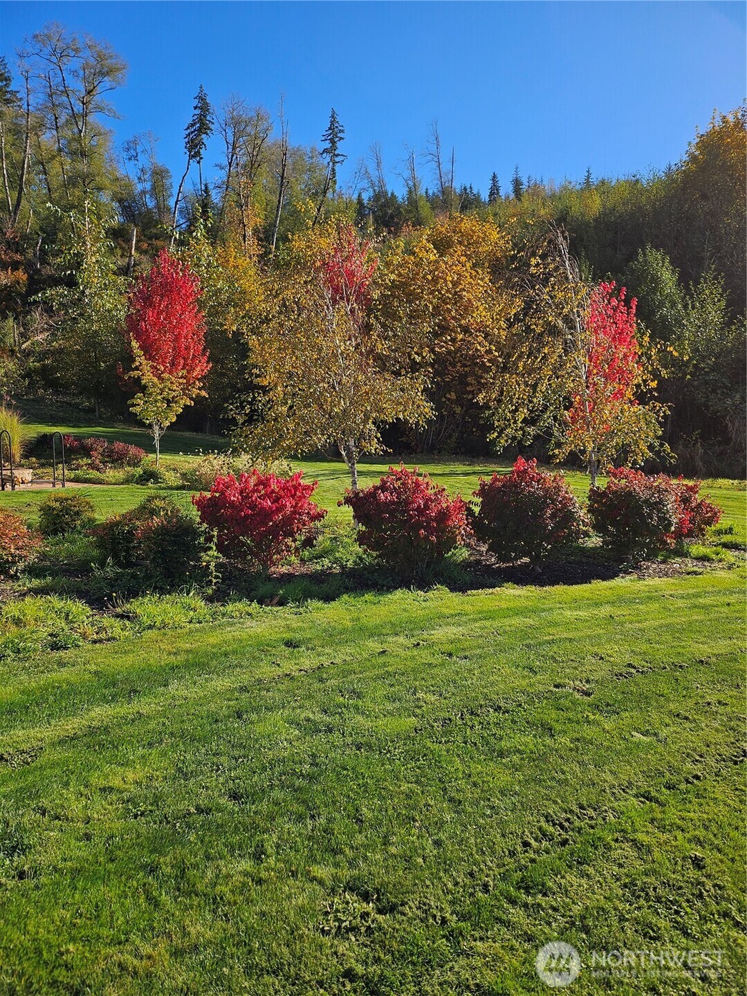 1851 Bloomhardt Road Raymond, WA 98577 - Photo 22 of 31 a front view of a house with a yard