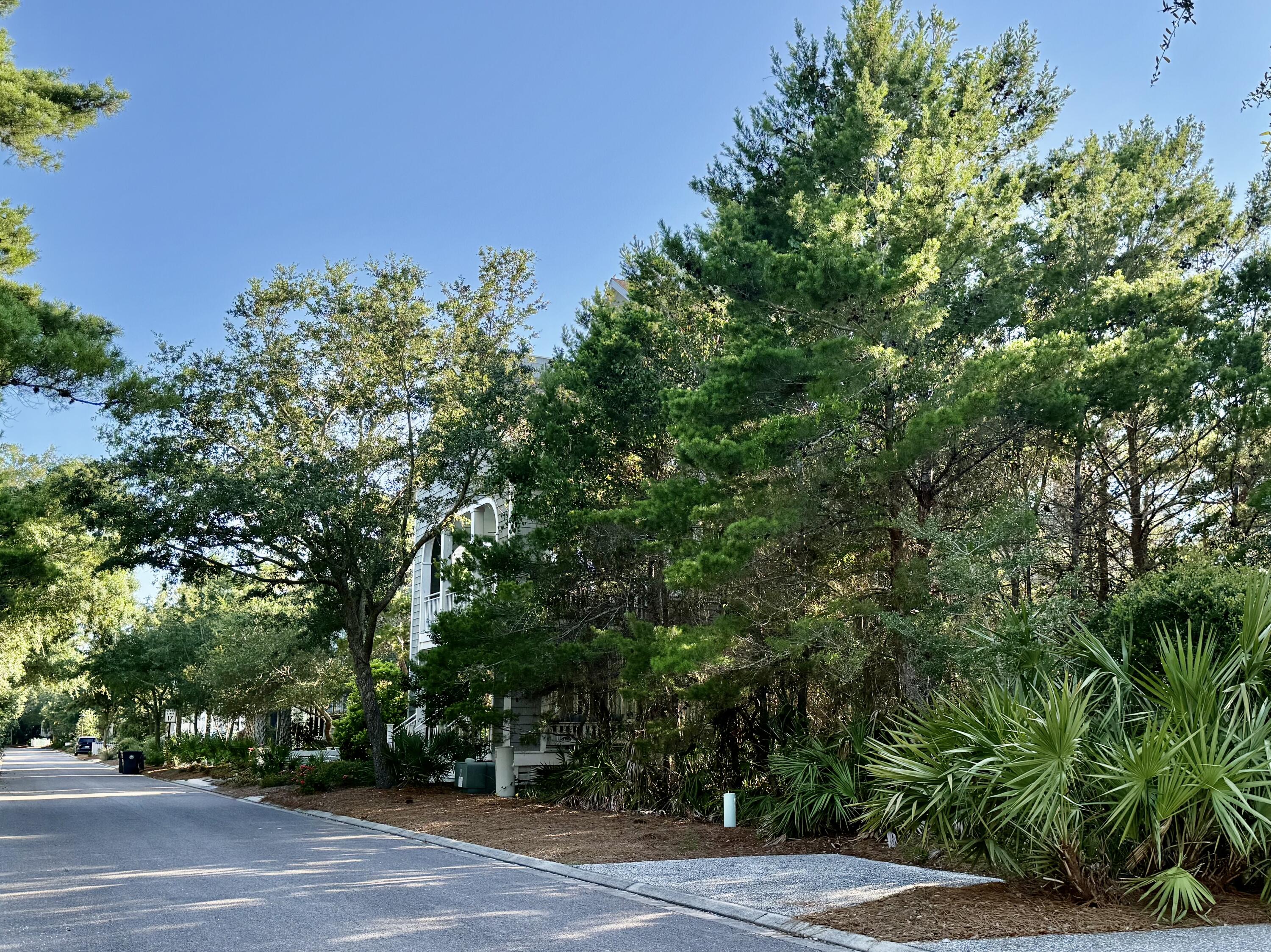 Xx Xx Coppersmith Ln Inlet Beach Inlet Beach, FL 32461 - Photo 3 of 37 3