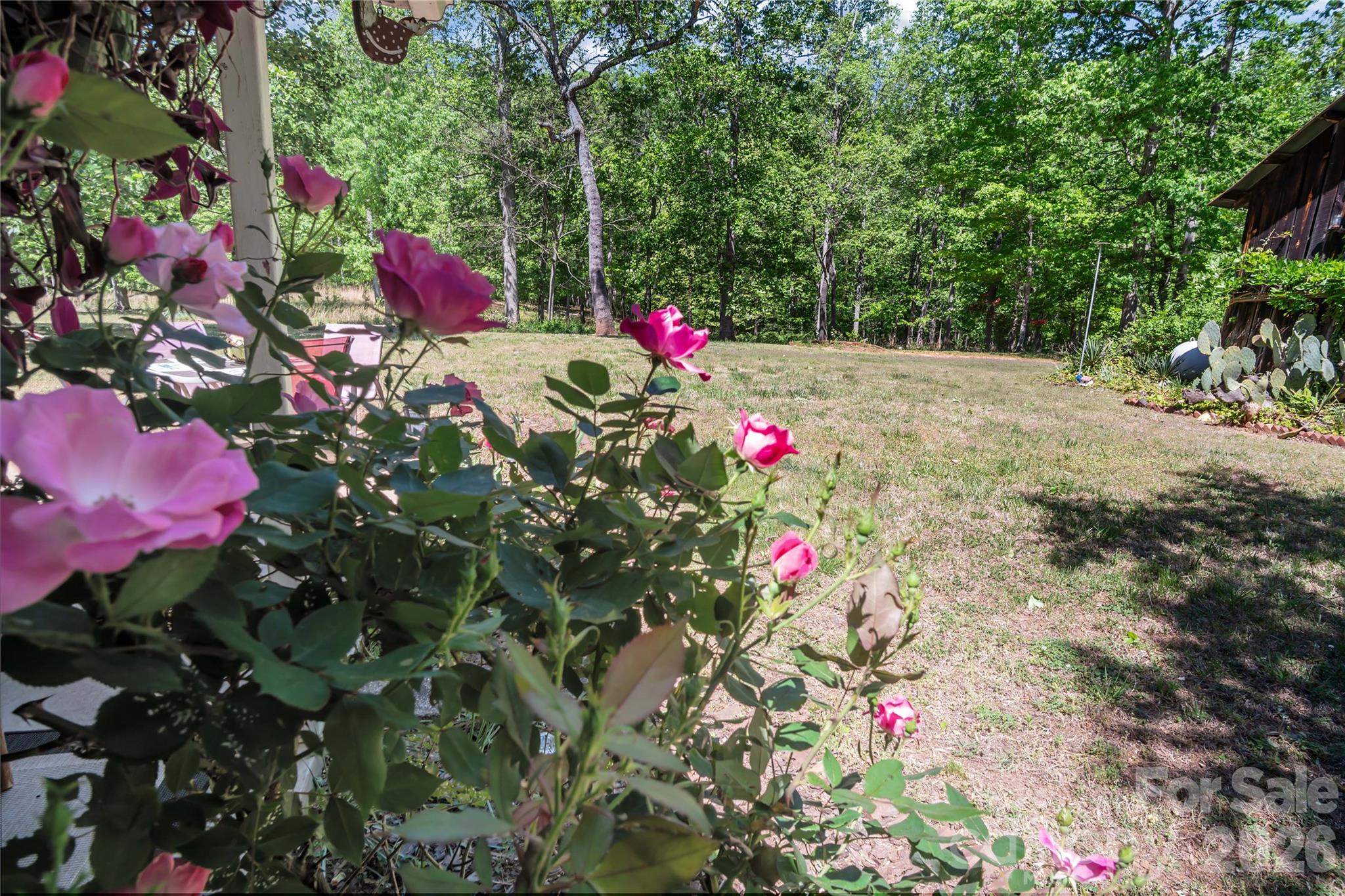 283 Constant Lane Columbus, NC 28722 - Photo 21 of 47